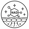 Increased Magneisum Absorption